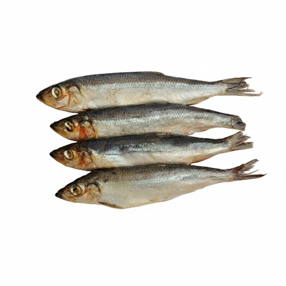 Sleď pro psy (BARF) 8 ks / 600 g – mražené