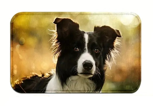 Podložka pod psí misky – border kolie, 45 × 75 cm