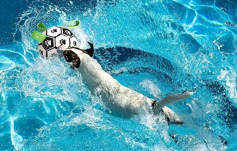 Přetahovací fotbalový míč pro psy s úchyty 15,5 cm