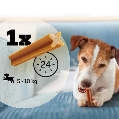 Pedigree Dentastix pro psy Dentální pamlsky – pro psy 5–10 kg