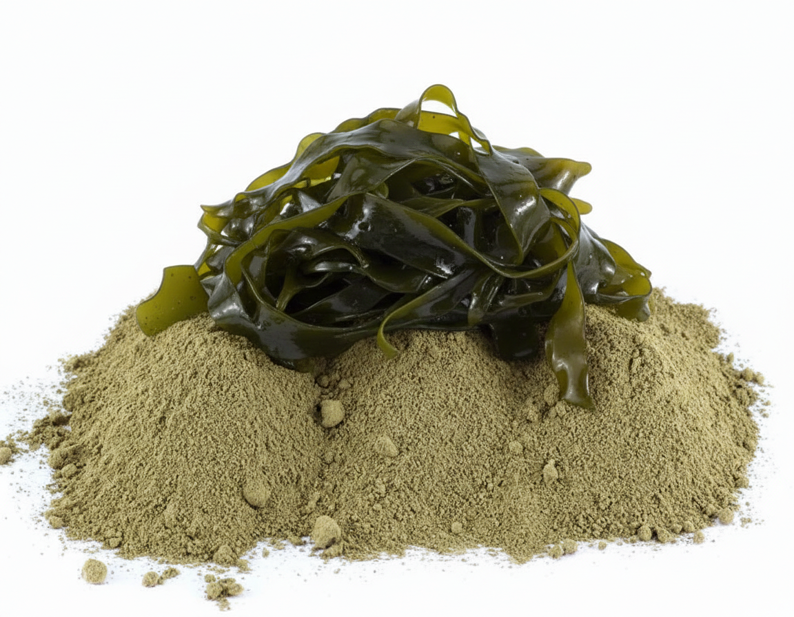 Kelpa – mořská řasa pro psy (BARF)