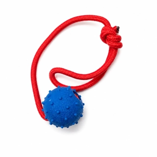 Gumový míček na šňůrce pro psy – 5 cm (modrý)