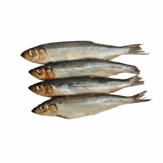 Sleď pro psy (BARF) 8 ks / 600 g – mražené