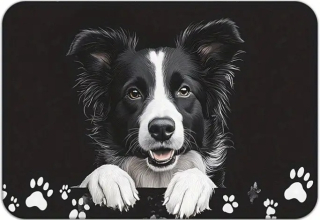 Podložka pod psí misky – border kolie, 40 × 60 cm