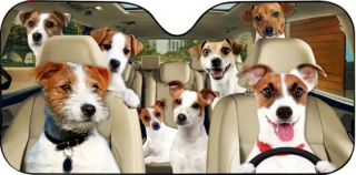 Sluneční clona na přední sklo auta – jack russell teriér, 130 × 70 cm